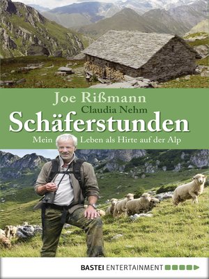 cover image of Schäferstunden